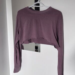 Long Sleeve Crop Top in Mauve